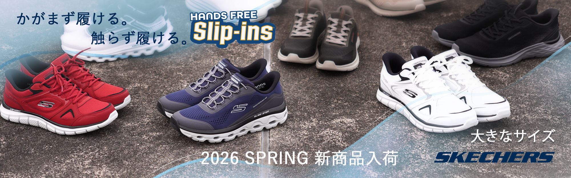 大きいサイズ　SKECHERS 2026 SS